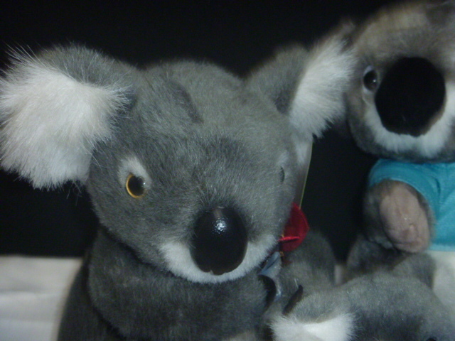 koala soft toy 3 piece 