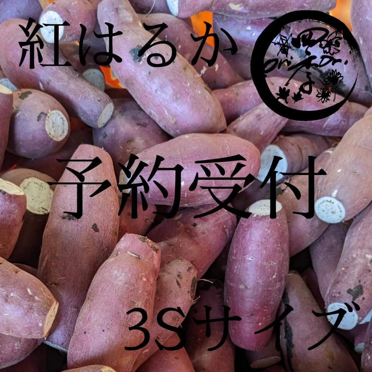 100%本物 さつまいも 紅はるか 5kg 農家直送 安心安全 en-dining.co.jp