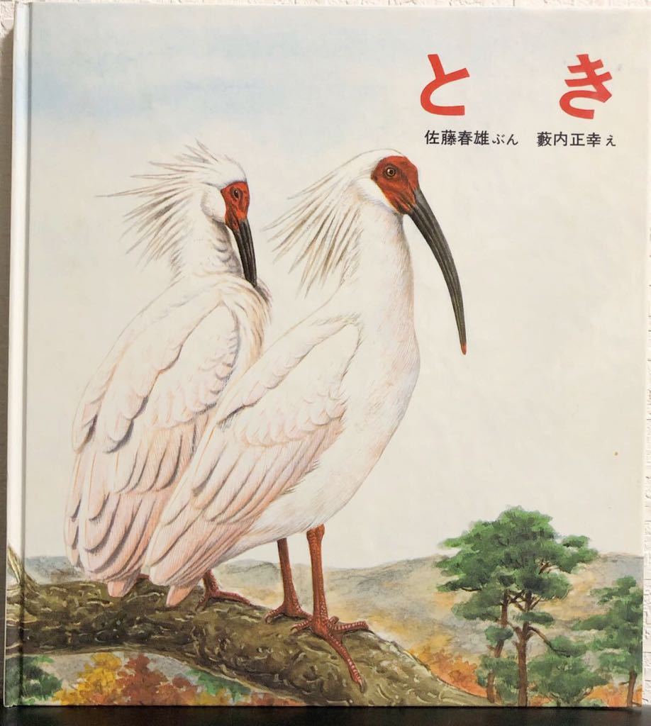 ◆超希少本◆「とき ほろびゆくとり」特製版 かがくのとも　福音館　1984年　入手困難本　ハード本　薮内正幸　佐藤春雄