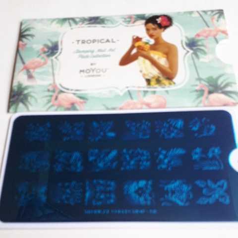 Moyou London ネイルスタンププレート　TROPICAL 02_画像3