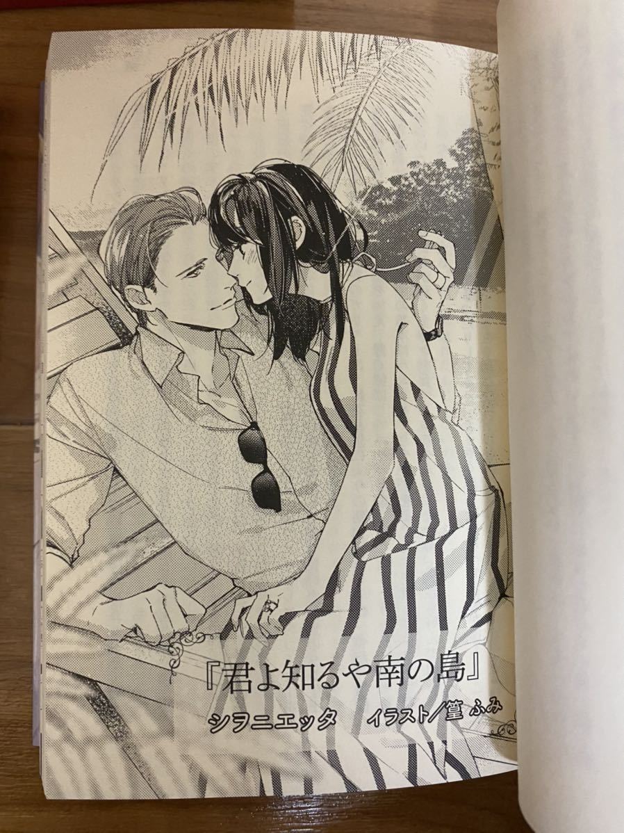 オペラ座の恋人 PREMIUM BOX 非売品購入特典小冊子番外編 セット