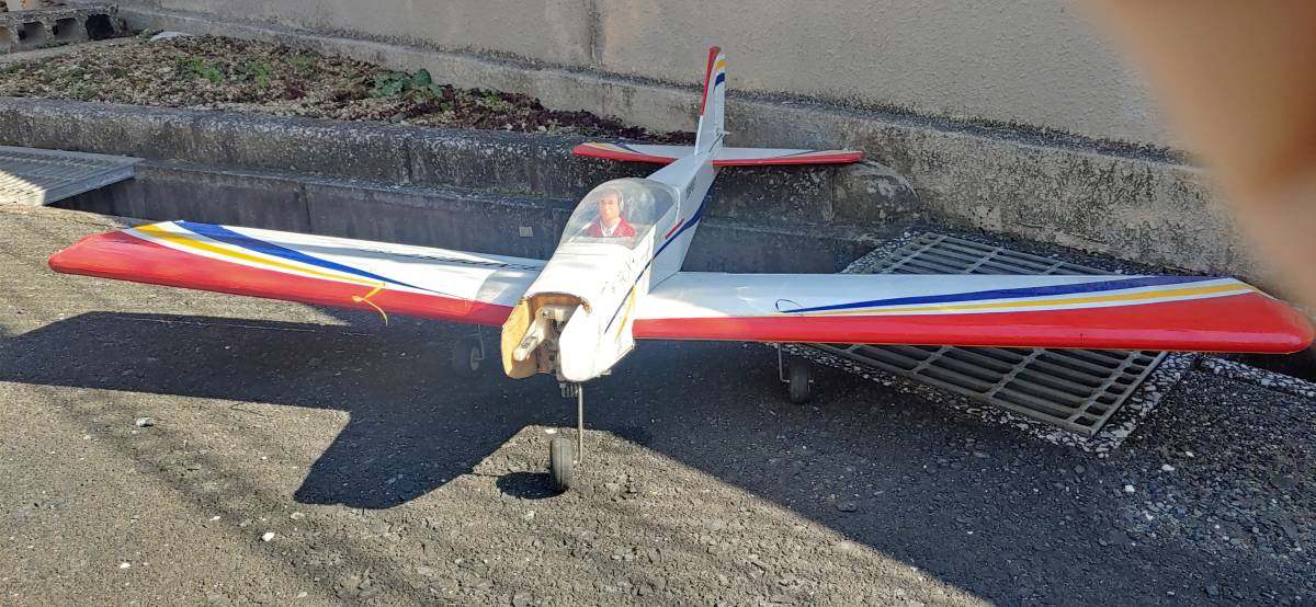 アウトレット販促品 テッドベイカー ジャスミン 桜 ハイネック