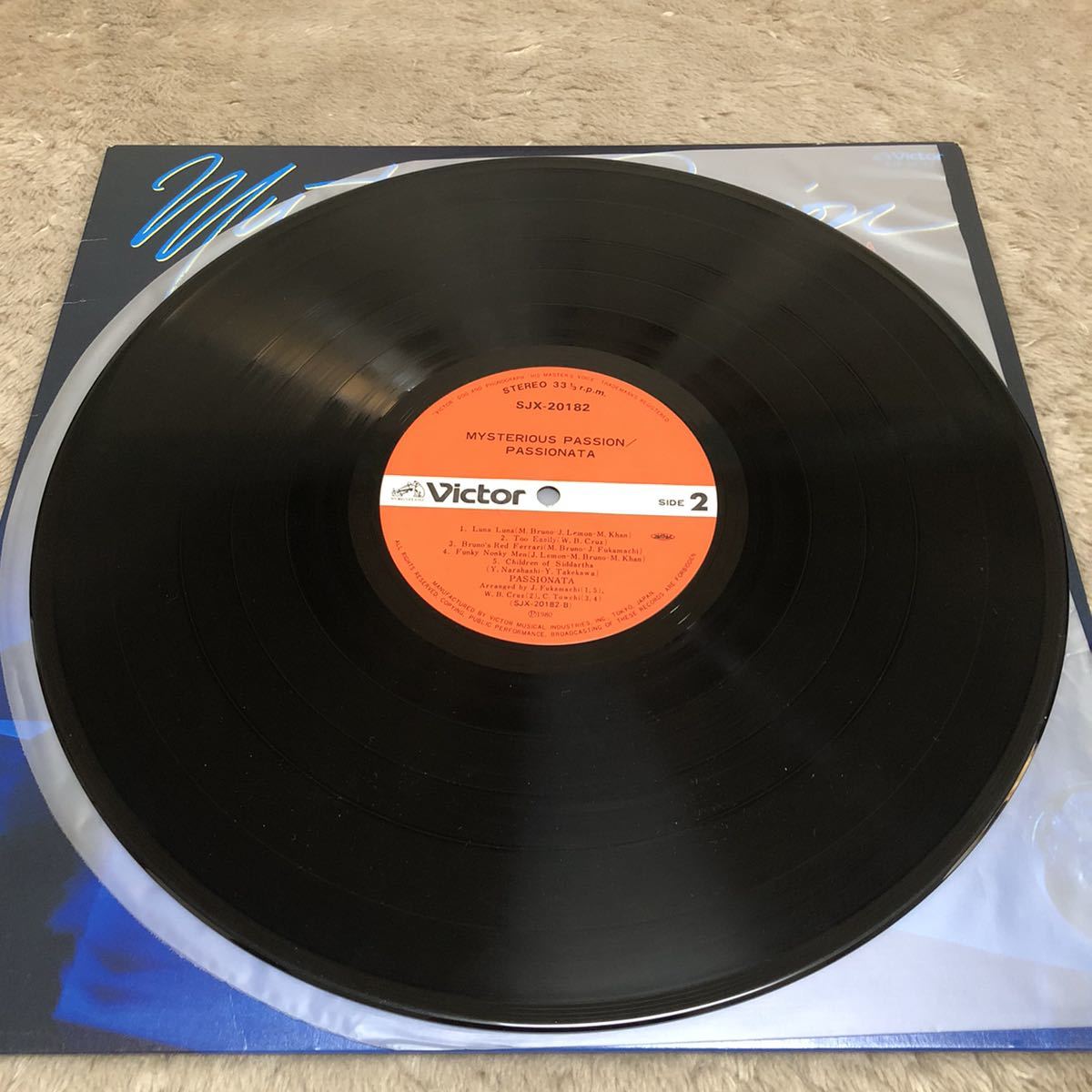 12インチ ディスコ系 レコード | tspea.org