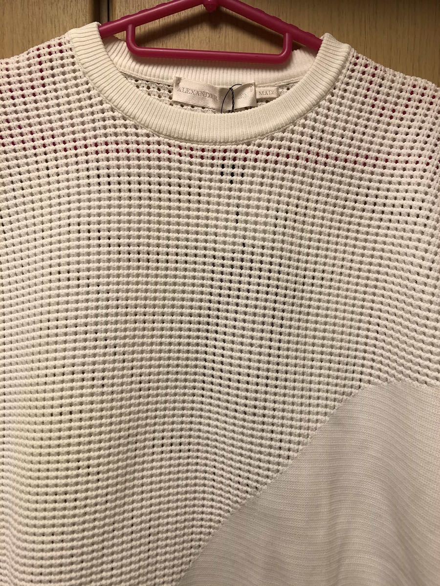 正規 未使用 14SS ALEXANDER McQUEEN アレキサンダー マックイーン
