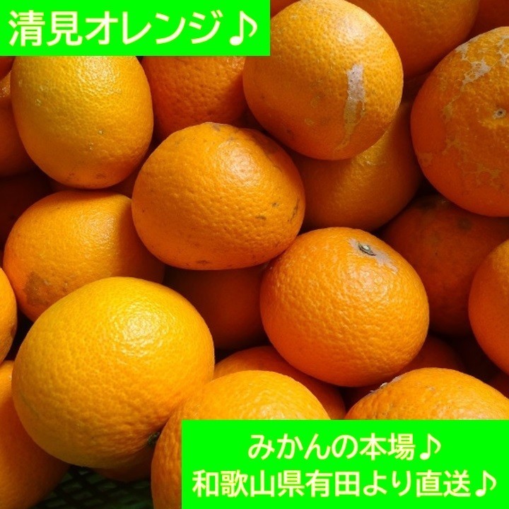 Paypayフリマ 清見オレンジ 和歌山県有田より 農家直送 キズあり家庭用 箱重量込み10kg Paypayフリマ 清見オレンジ 和歌山県有田より 農家直送 キズあり家庭用 箱重量込み10kg
