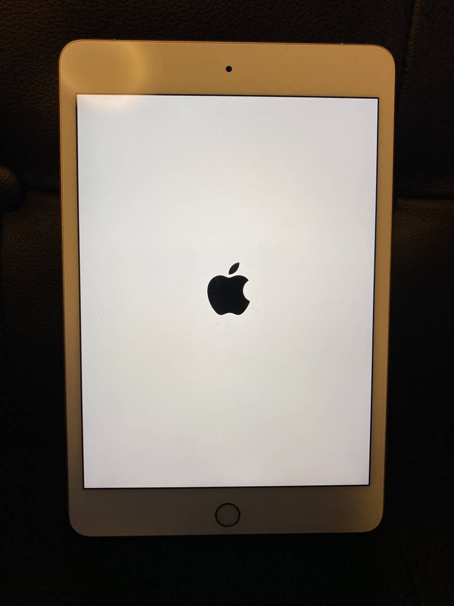 SIMロック解除済 第5世代 au iPad mini5 Wi-Fi+Cellular 64GB ゴールド MUX72J/A A2124(iPad 本体)｜売買されたオークション情報、yahooの商品情報をアーカイブ公開 - オークファン（aucfan.com）