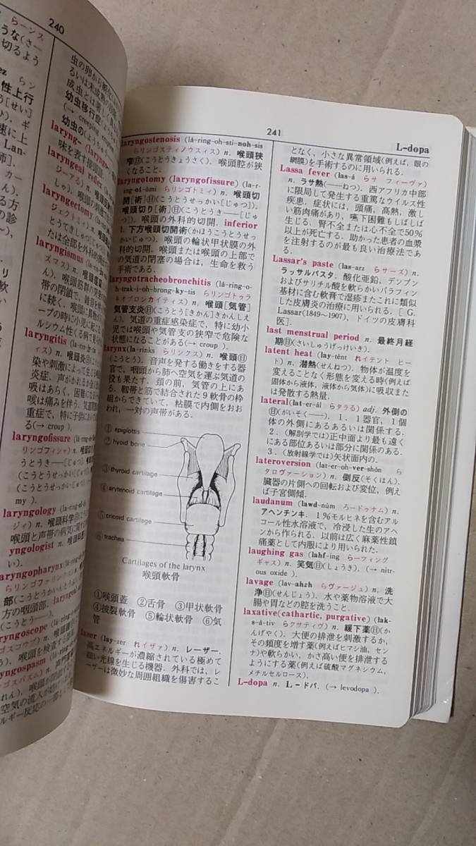 書籍/看護、医学　OXFORD ポケット看護辞典　1991年3刷　廣川書店　中古_画像4