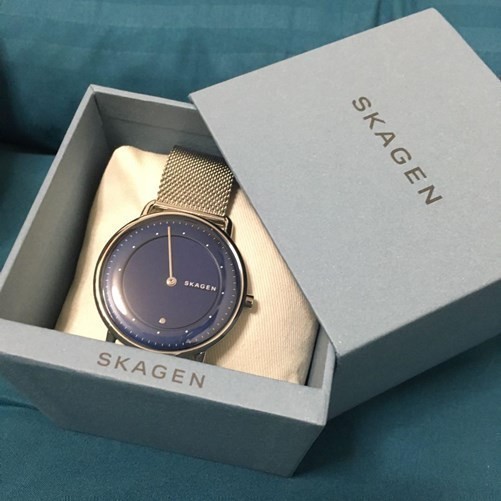 スカーゲン腕時計 SKAGEN 新品 男 未使用品 メンズ ブルー シルバー SKW6488 並行輸入品 スカーゲン