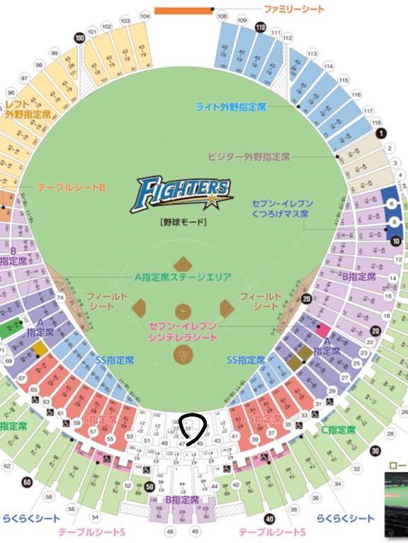 21年春夏再販 3 30 日本ハム ファイターズ西武 札幌ドーム 前列 連番２枚 新庄剛志 バッ ネッ 裏 指定席 通販限定