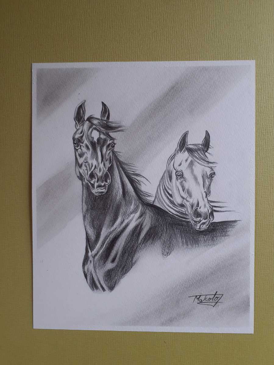  pencil sketch art chestnut wool horse . white horse 