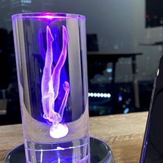 綾波レイのメモリアルクリスタル新品 シュリク付き | www.bioimune.com.br