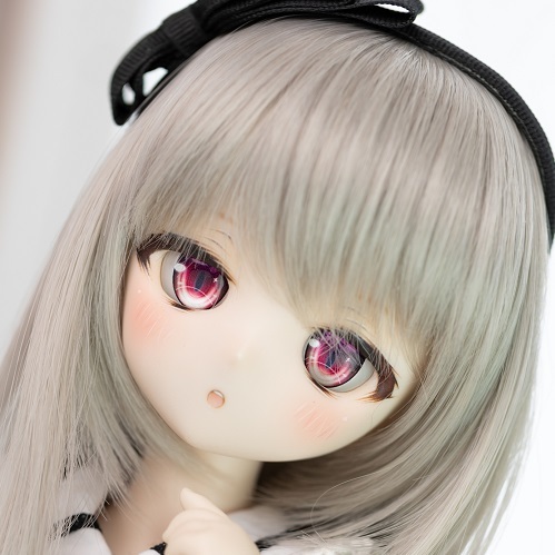 DDH-01 SW肌 カスタムヘッド ソフビ盛り【koyallection】 www.lram-fgr.ma