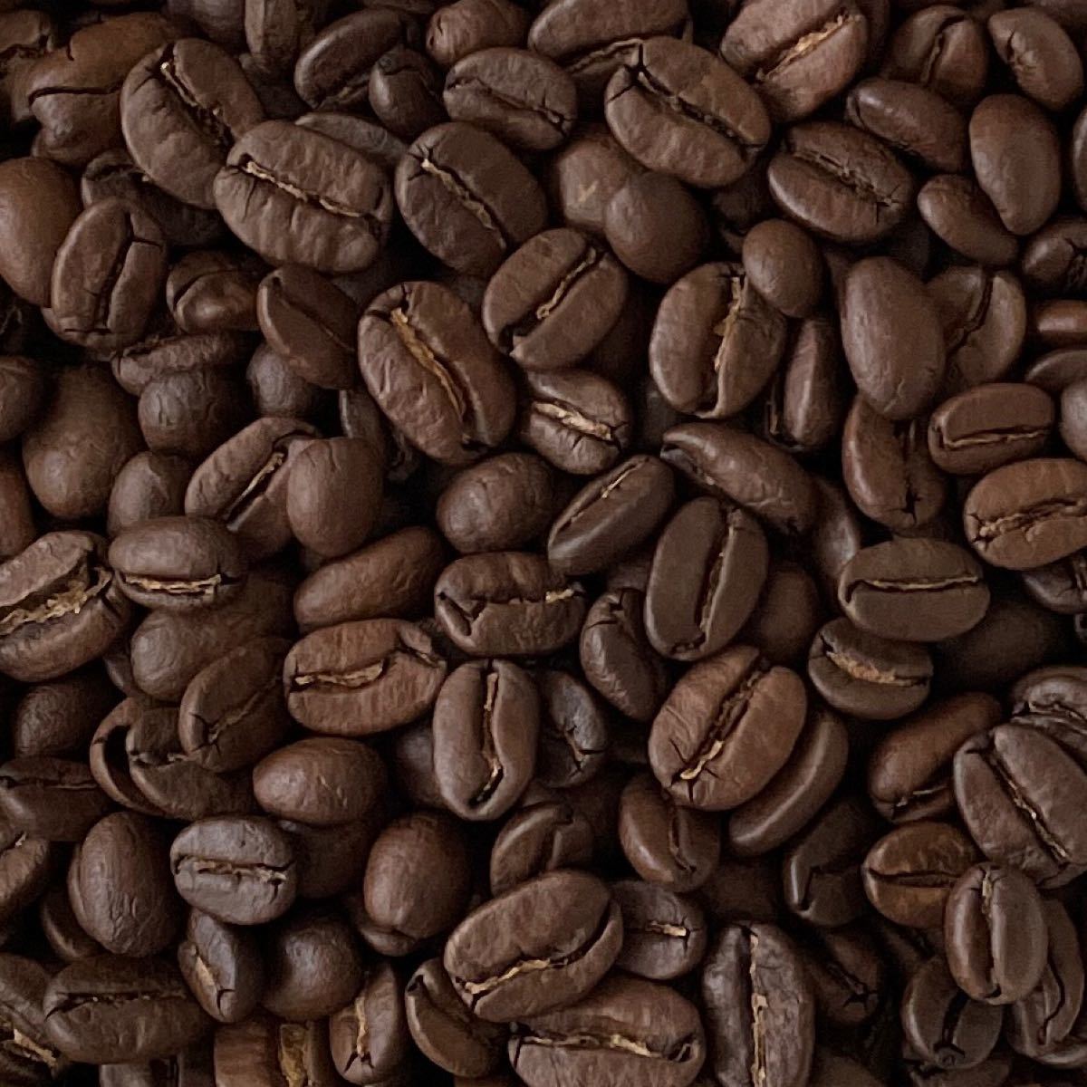 自家焙煎 コロンビア エクセルソ 100g 注文後焙煎 YHR-COFFEE 焙煎 コーヒー豆 珈琲 コーヒー 