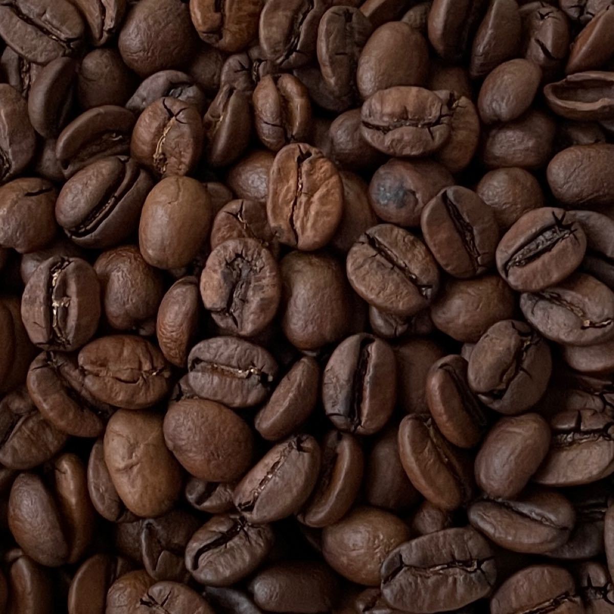 自家焙煎 メキシコ アルツラ 200g 注文後焙煎 YHR-COFFEE 豆のまま コーヒー豆 ギフト プレゼント 珈琲 コーヒー