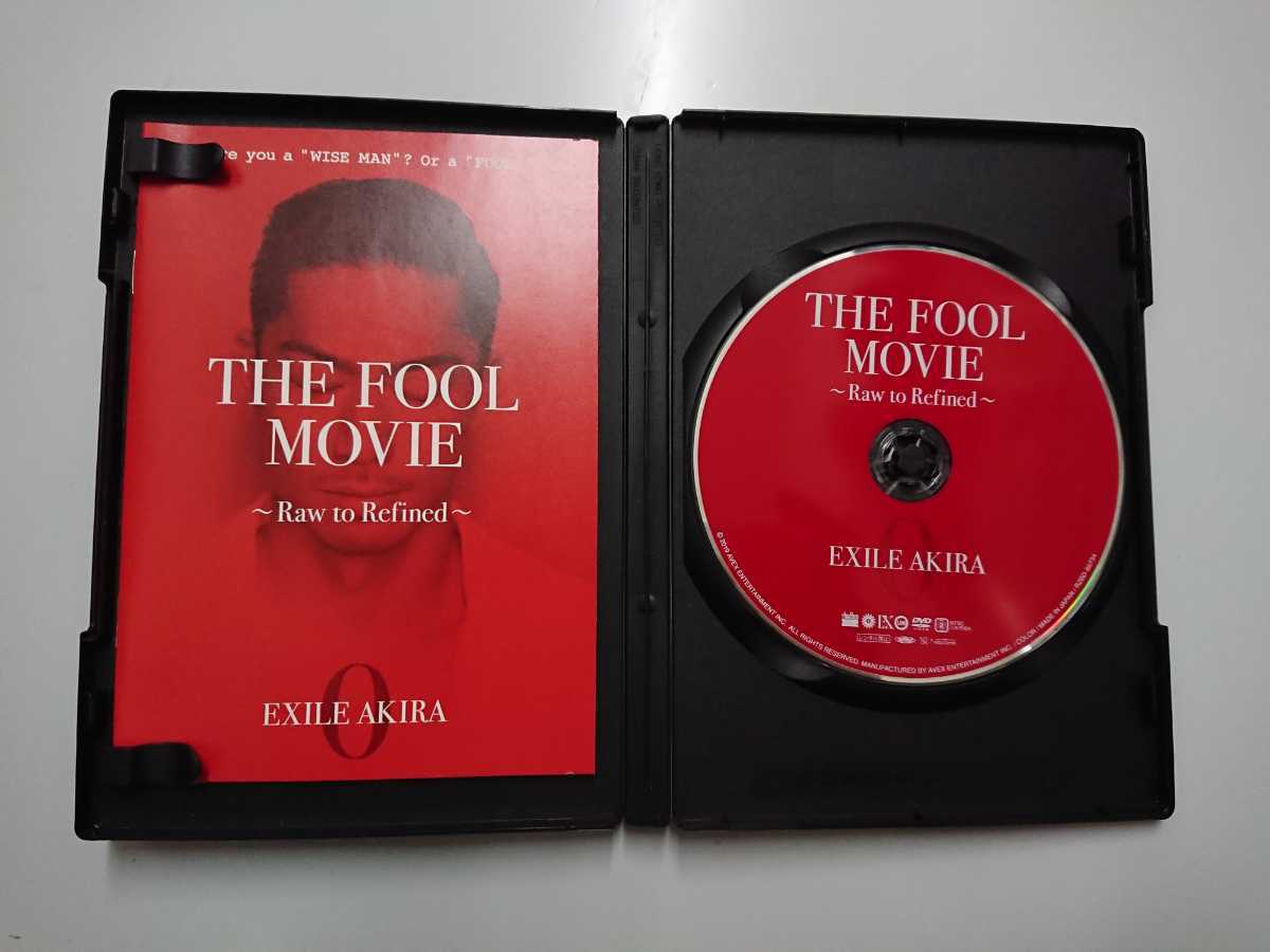 THE FOOL MOVIE～Raw to Refined～ DVD_画像2