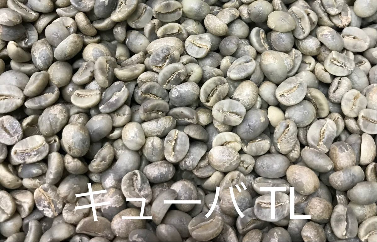 公式】 キューバ TL 5kg ※送料無料 agapeeurope.org