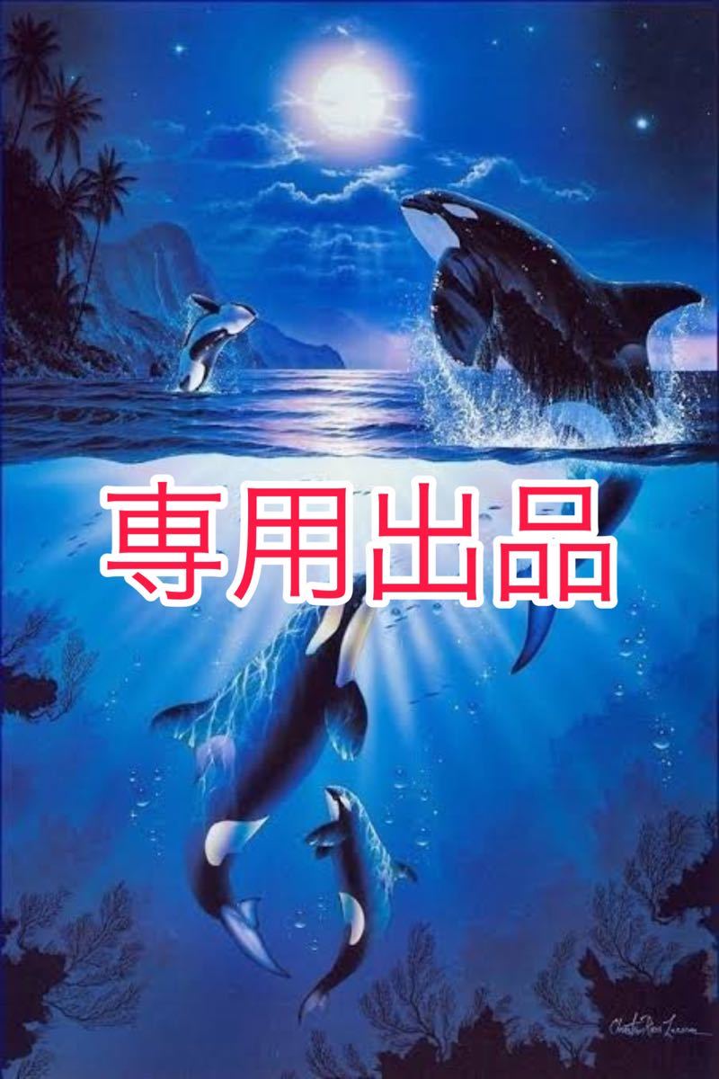テレビで話題】 Dolphin様専用 ecousarecycling.com