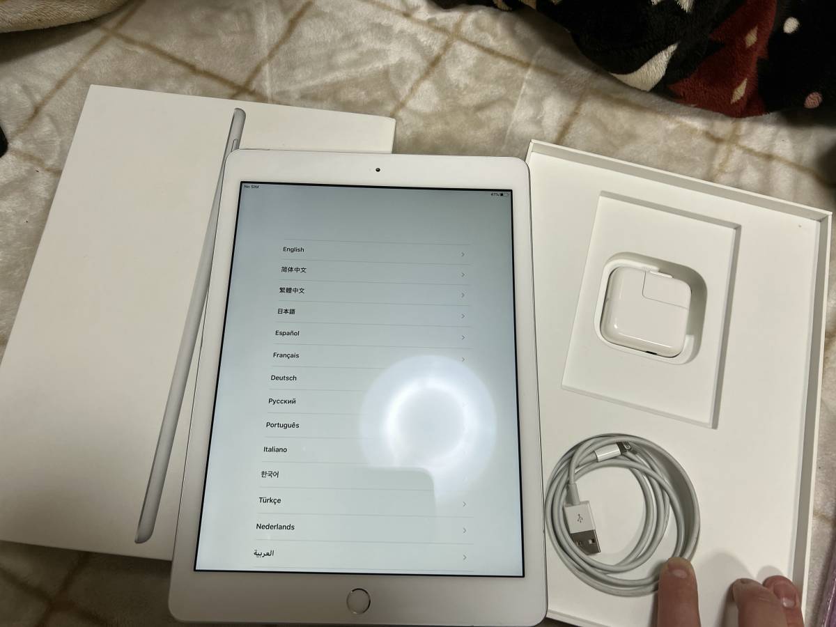 Apple iPad 第6世代 WI-Fi＋Cellular 32GB シルバー ドコモ版 美品！