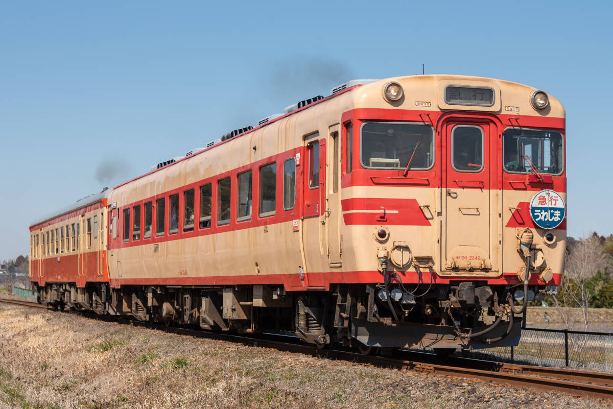 鉄道 デジ 写真 画像 いすみ鉄道 キハ28 赤ひげ うわじまHM (幌なし) 13_画像1