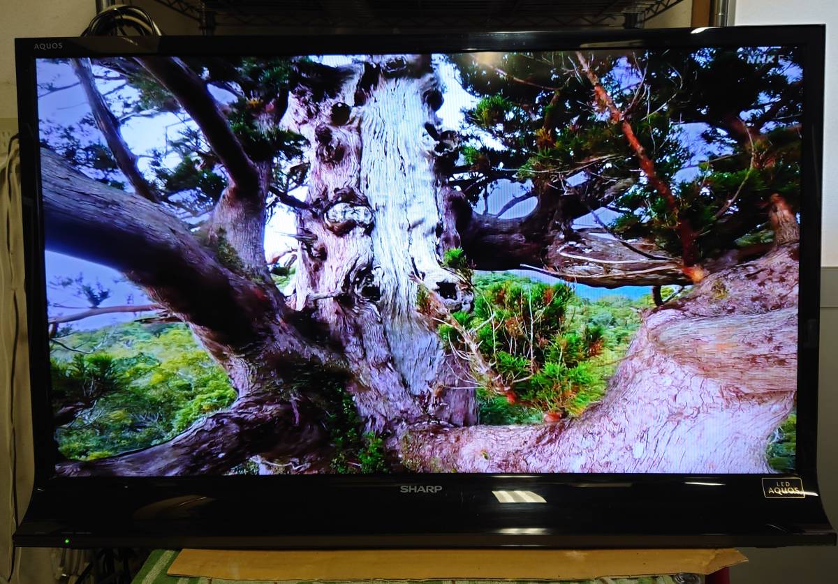 2013年製 SHARP 40インチ液晶テレビ LC-40J9(9441498) wanderingthru.com