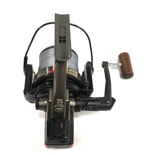 daiwa WHISKER GS 3000 磯遠投 eva.gov.co