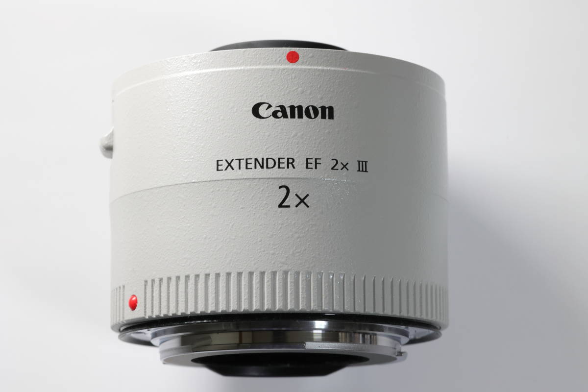 履き心地◎ キヤノン 《美品》Canon エクステンダー EF2X III