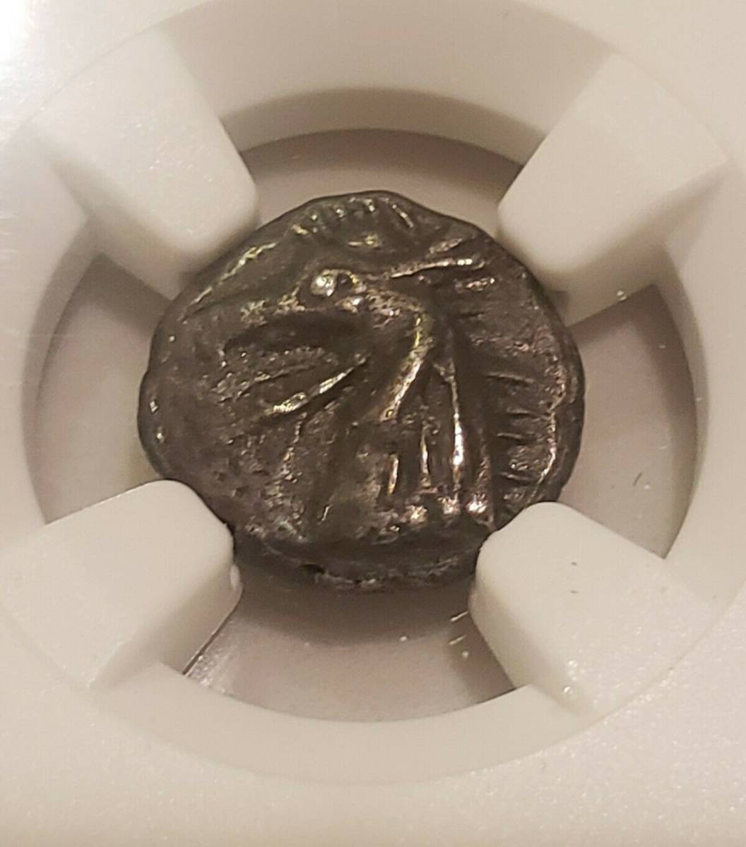 世界最古　古代ギリシャ　ドラゴン銀貨　NGC XF　鑑定品_画像5