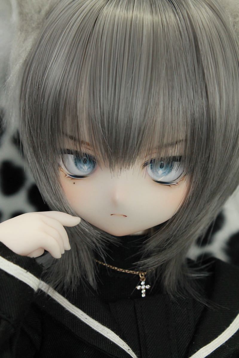 ddh-01カスタムヘッド（sw肌）＋アイ、ウィッグ | labiela.com