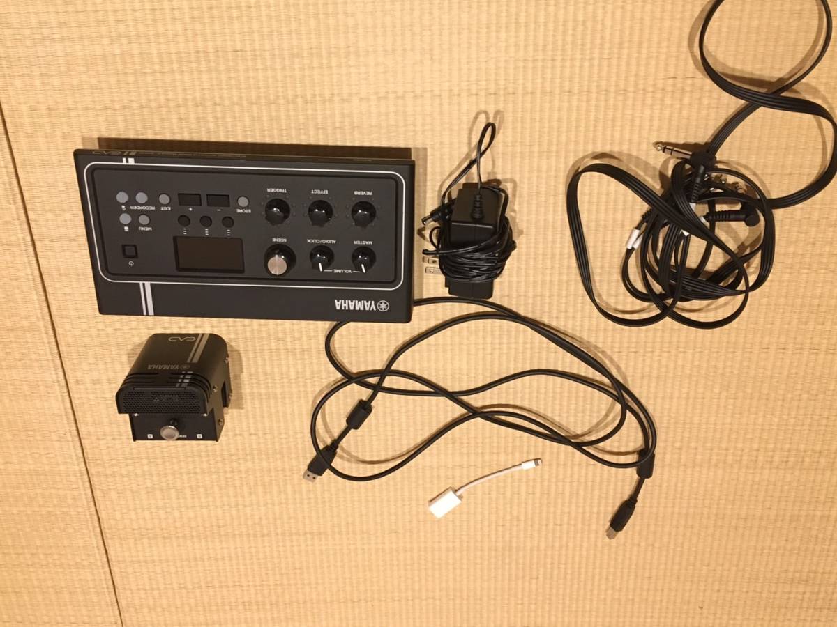 送料無料 ヤマハ YAMAHA EAD10 エレクトロニック アコースティック