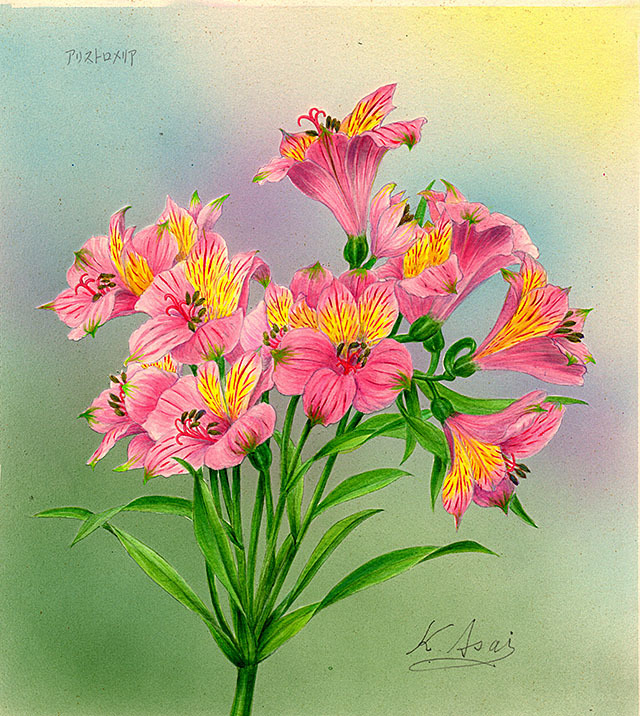 水彩画 植物細密画「アルストロメリア」 真作 www.cleanlineapp.com