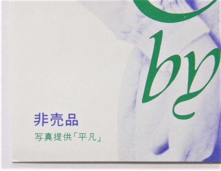 ☆ 送料無料 ! ☆ 超弩級レア品 / 非売品 / 美品 ☆ 渚のシンドバッド ...