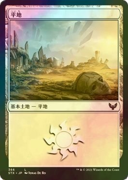 Foil 平地/Plains [STX] ストリクスヘイヴン：魔法学院 MTG 日本語 366 H1_画像1