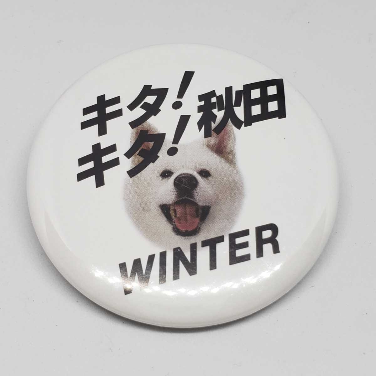  free shipping * anonymity delivery *kita!kita! Akita can badge Akita dog . dog can bachi dog 