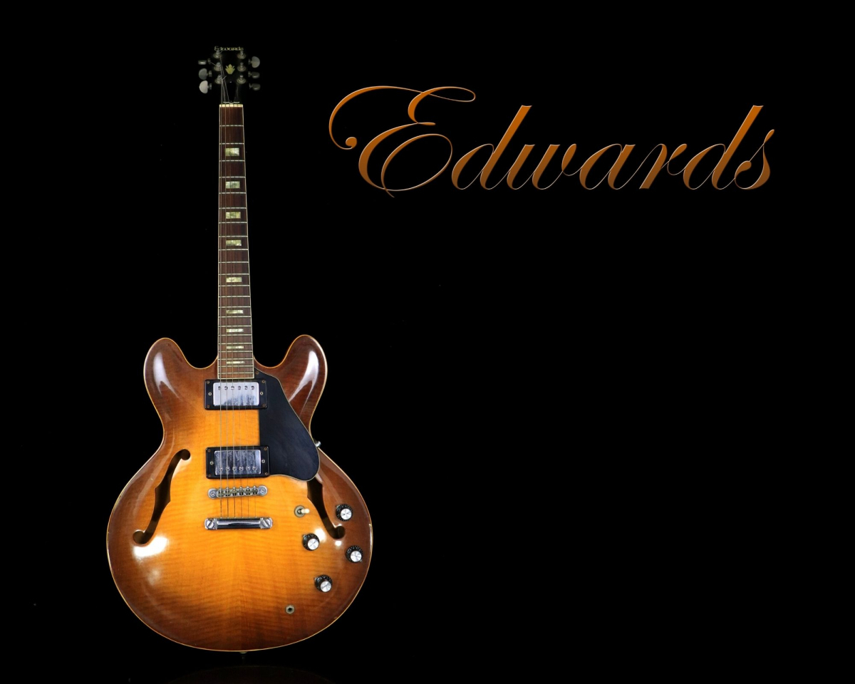 Edwards ESP エドワーズ セミアコースティックギター セミアコ エレキ 