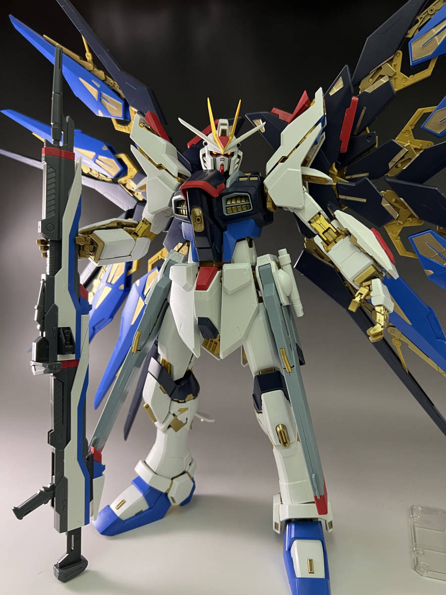 未組立 ZGMF-X20A ストライクフリーダムガンダム