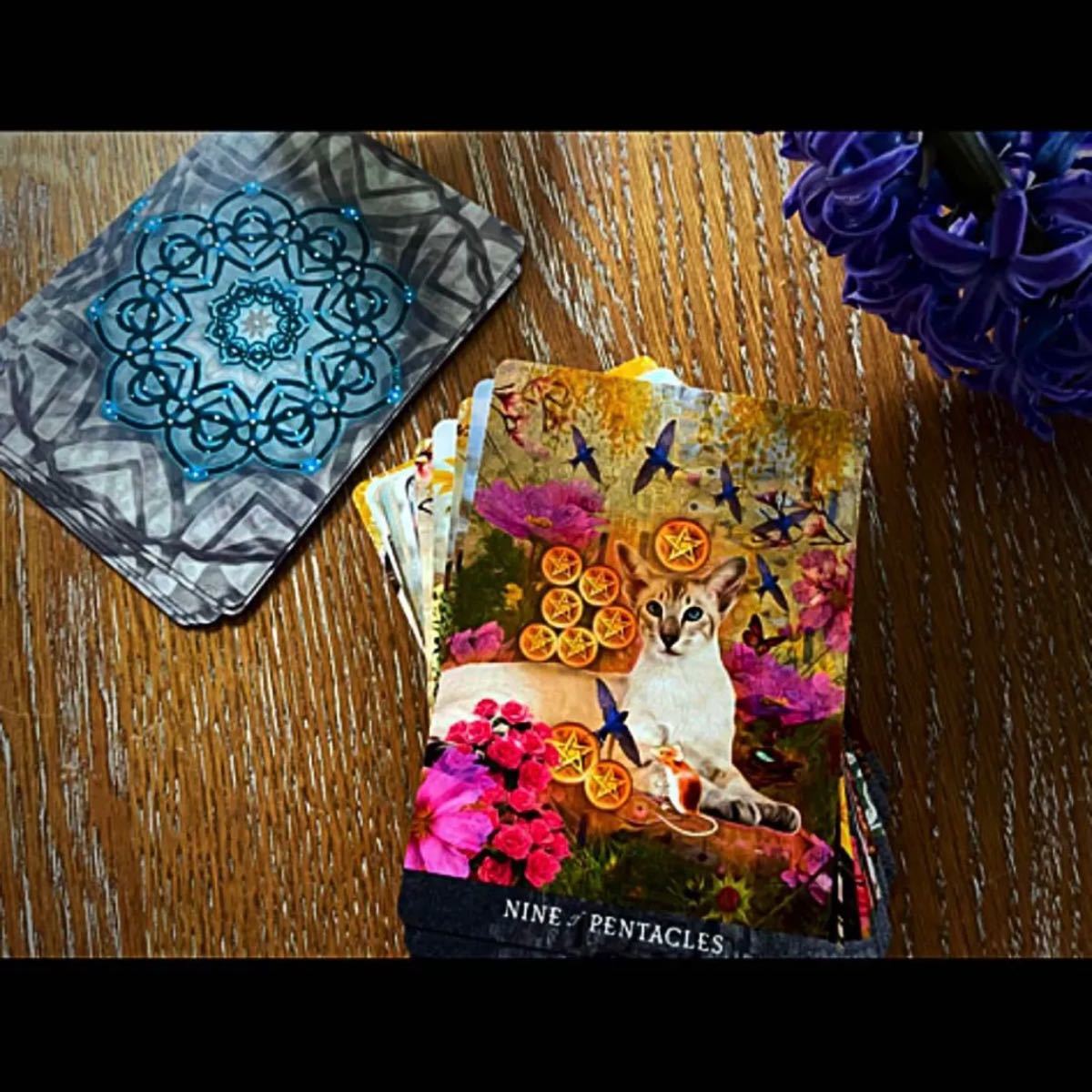 MJ.TAROT.CAT 海外クリエイター・タロットカード | pybli.com.my