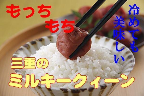 もちもち☆令和3年産/もちもち三重ミルキークイーン白米18㎏（送料別）_画像1