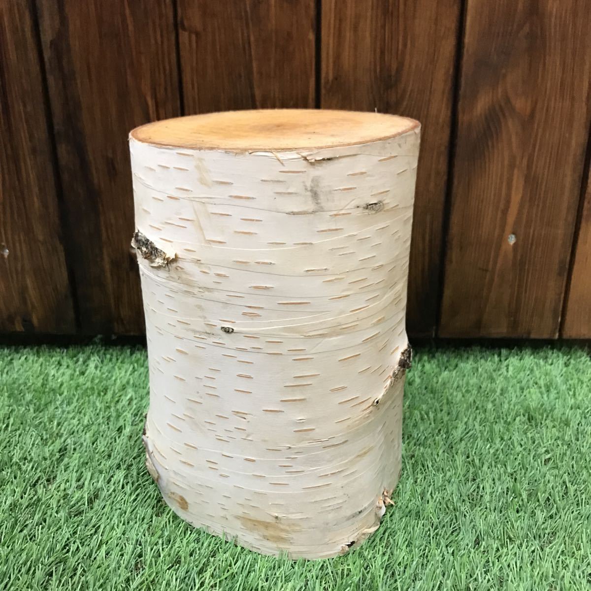 Yahoo!オークション - m 白樺 丸太 大サイズ 直径約15cm 高さ約21cm Yahoo!オークション - m 白樺 丸太 大サイズ 直径約15cm 高さ約21cm