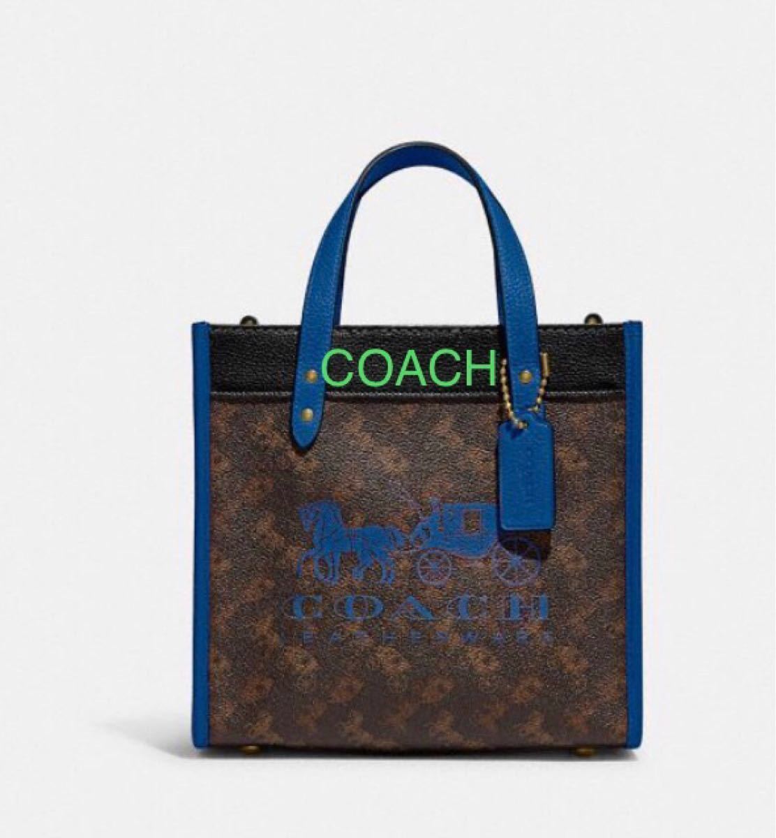 パネル COACH 2wayトートバッグ男女兼用 | www.tegdarco.com