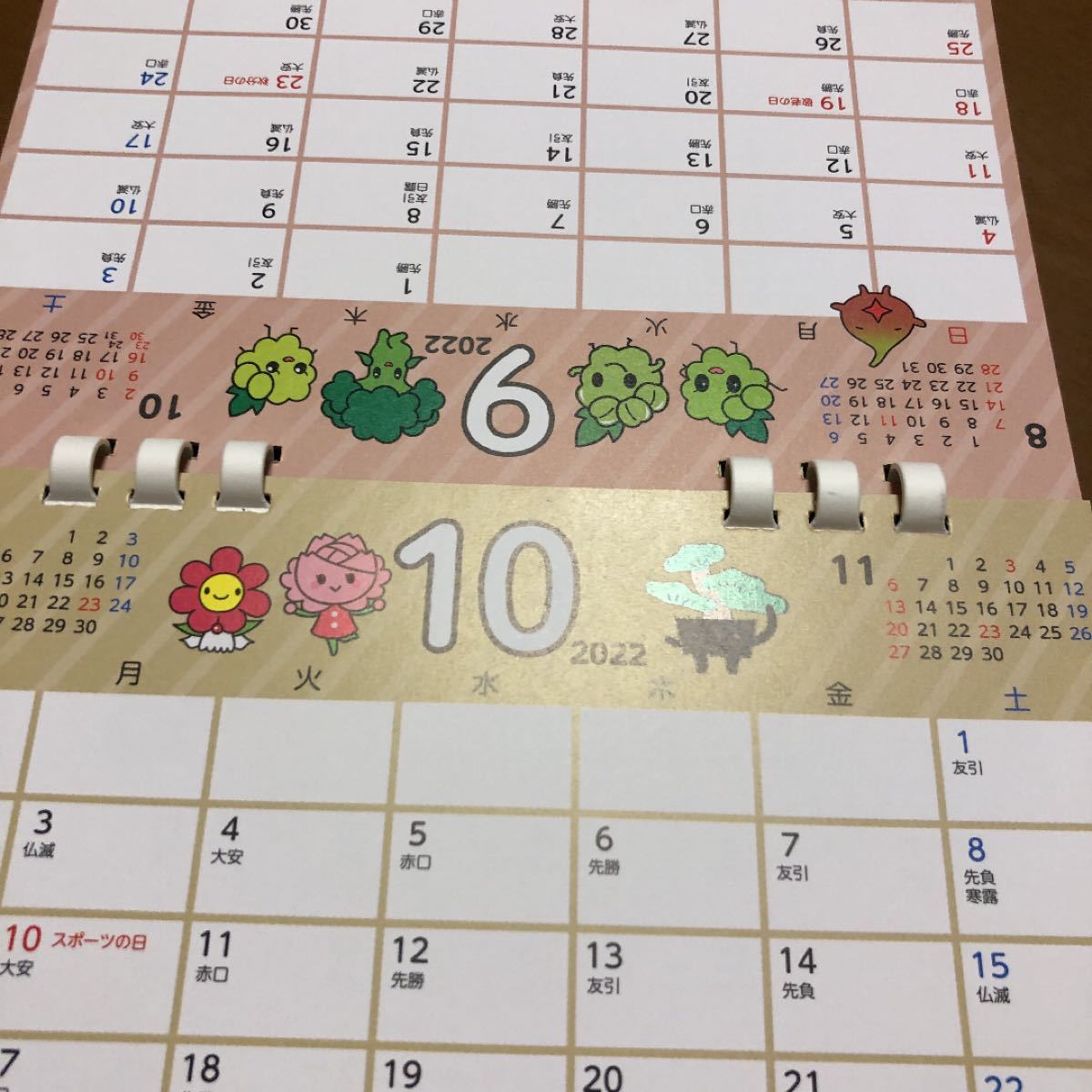 卓上カレンダー　高松産ごじまんカレンダー　４月始まり