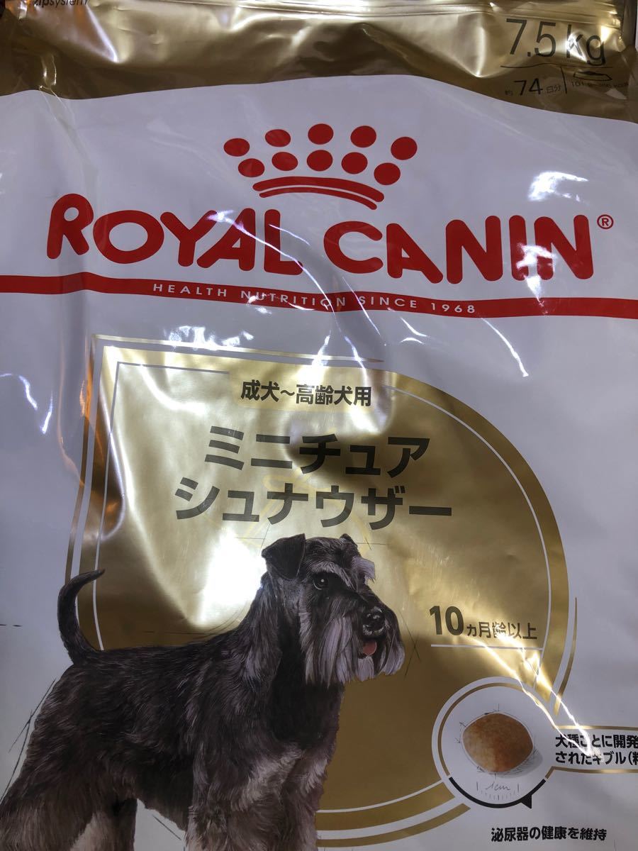ロイヤルカナン BHN ミニチュアシュナウザー 成犬・高齢犬用 7.5kg T6wDcX72eC, キッチン、日用品、文具 - centralcampo.com.br ロイヤルカナン BHN ミニチュアシュナウザー 成犬・高齢犬用 7.5kg T6wDcX72eC, キッチン、日用品、文具 - centralcampo.com.br