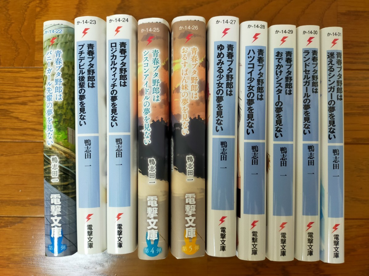 青春ブタ野郎　シリーズ　ラノベ、ブックカバー付き