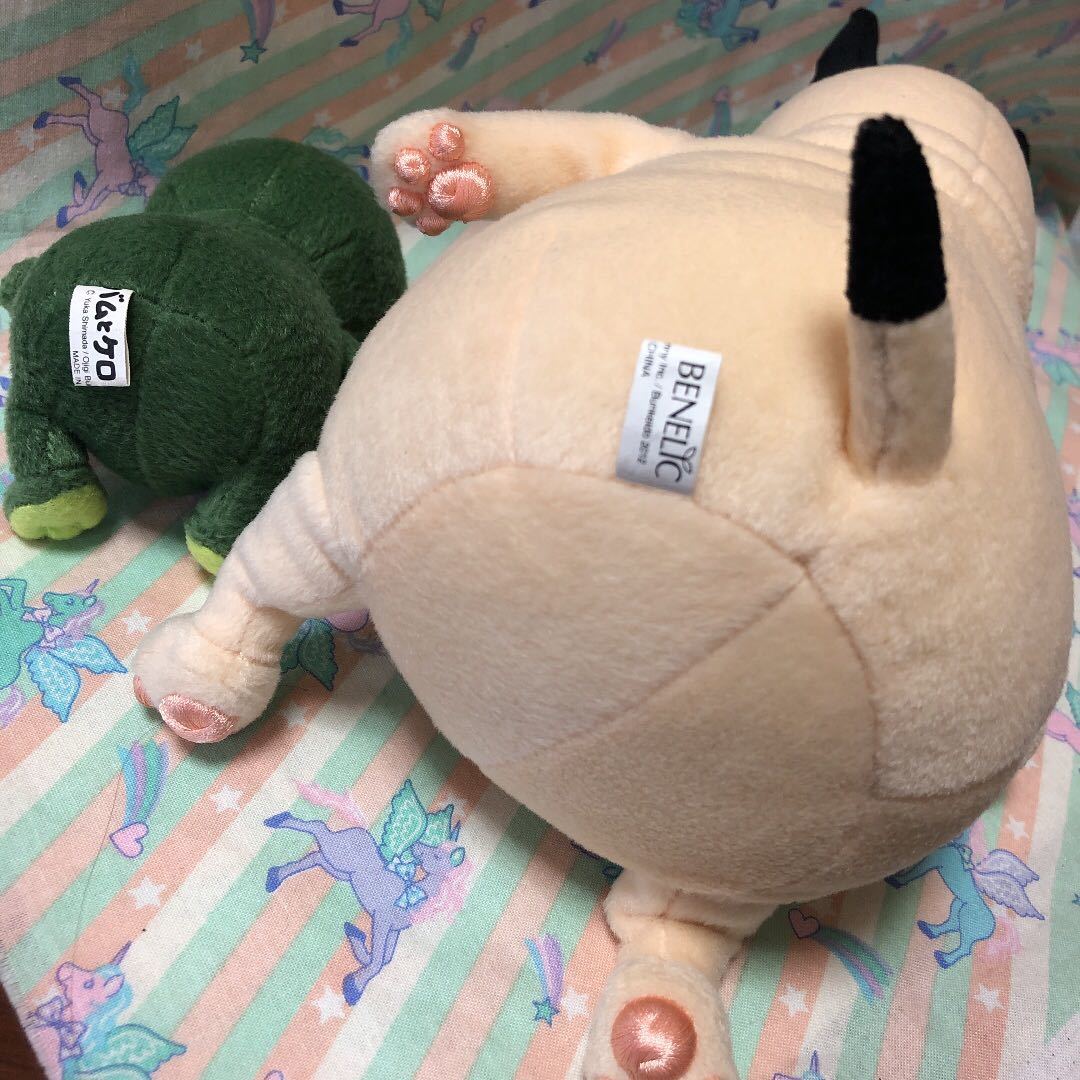 バムとケロ バム ケロ ぬいぐるみ Sサイズ 絵本 バムとケロ バム ケロ ぬいぐるみ Sサイズ 絵本