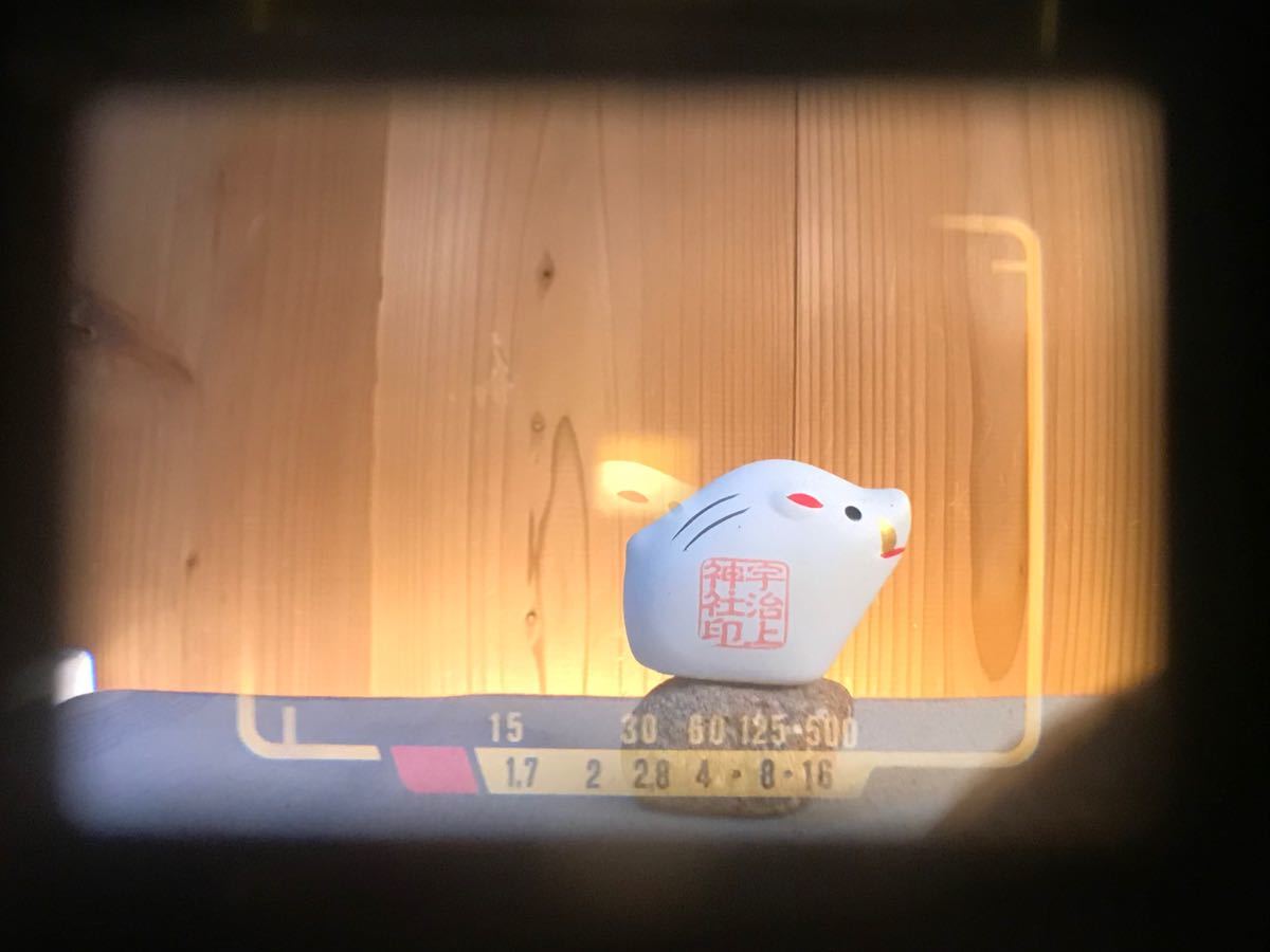 OLYMPUS 35DC☆実写テスト済み!完動*美品*整備品☆レンズf1.7