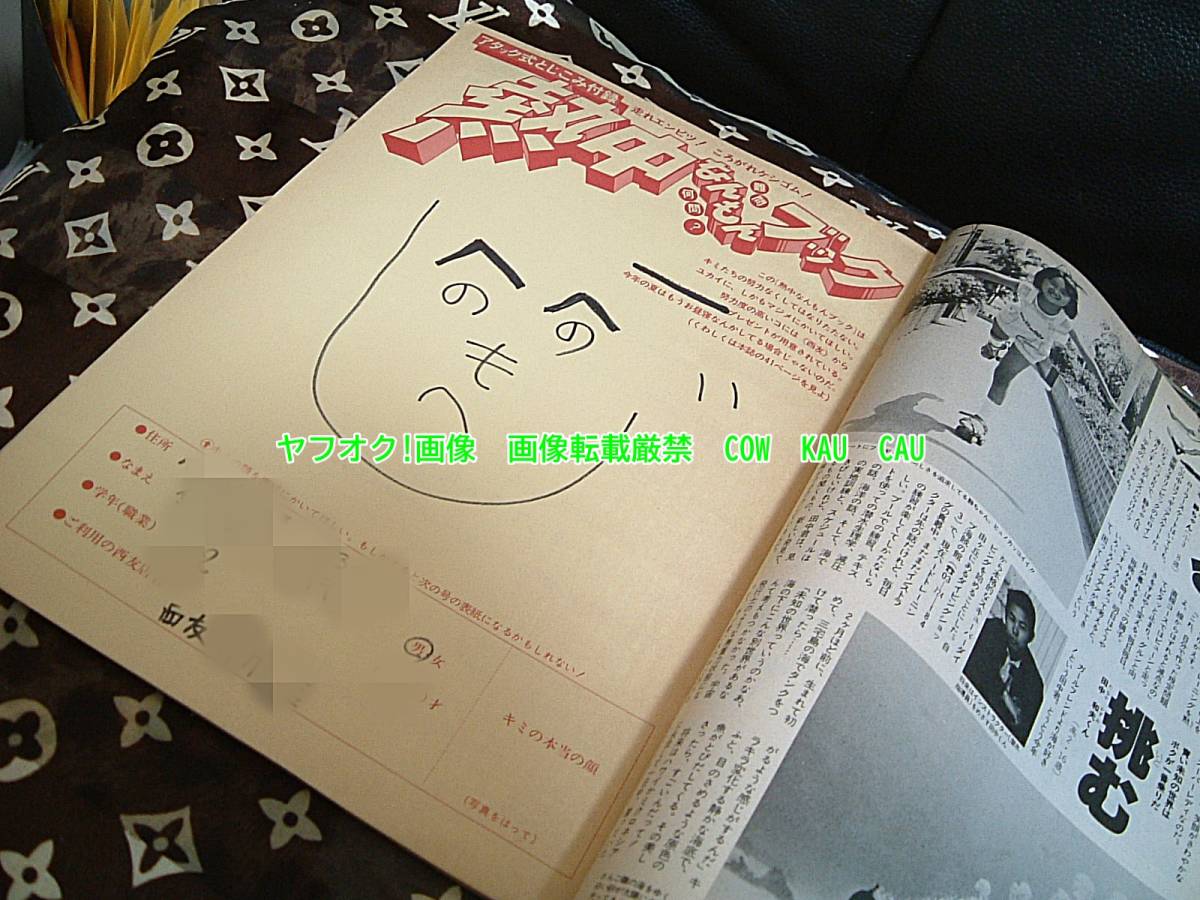 ◇ レア レトロ 廃盤 熱中なんでもブック 幻の逸品 西友 有料 宣伝雑誌