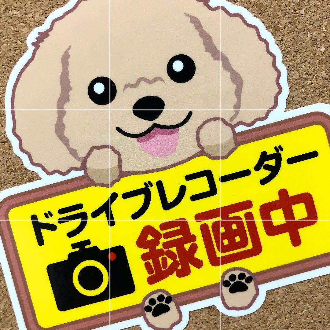 季節のおすすめ商品 トイプードル アプリコット クリーム ドライブレコーダー ステッカー 犬 録画中 Lacistitis Es 季節のおすすめ商品 トイプードル アプリコット クリーム ドライブレコーダー ステッカー 犬 録画中 Lacistitis Es