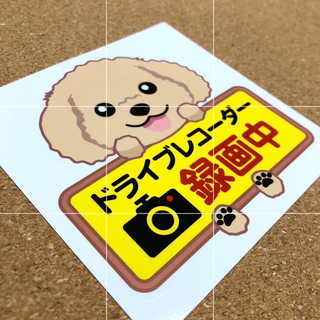 季節のおすすめ商品 トイプードル アプリコット クリーム ドライブレコーダー ステッカー 犬 録画中 Lacistitis Es 季節のおすすめ商品 トイプードル アプリコット クリーム ドライブレコーダー ステッカー 犬 録画中 Lacistitis Es