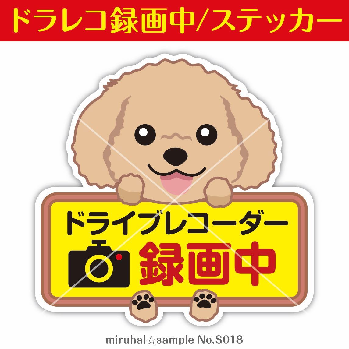 トイプードル アプリコット クリーム ドライブレコーダー ステッカー 犬 録画中 ランキングtop5 トイプードル アプリコット クリーム ドライブレコーダー ステッカー 犬 録画中 ランキングtop5