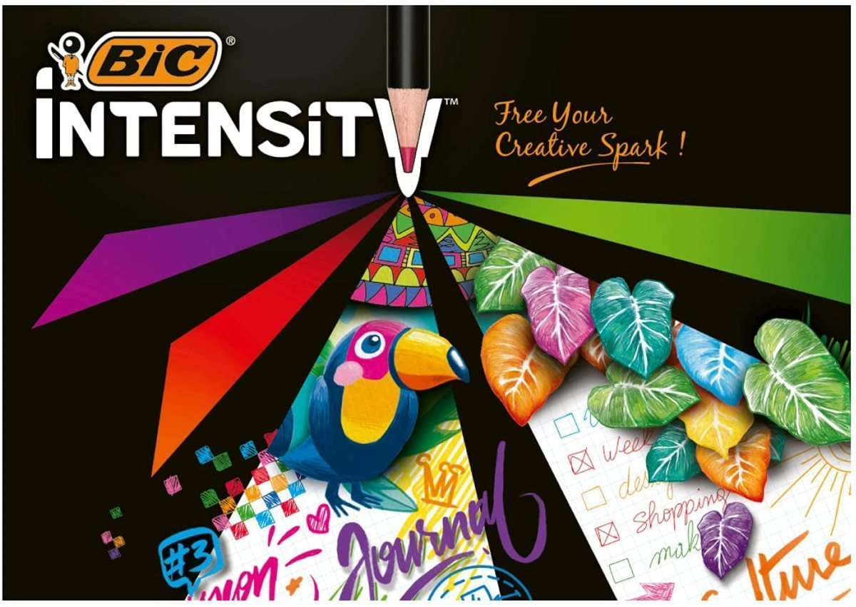 送料無料 色鉛筆 Intensity 24色 Bicジャパン ITS-WDCCPPK24/1325ｘ２個セット/卸_画像5