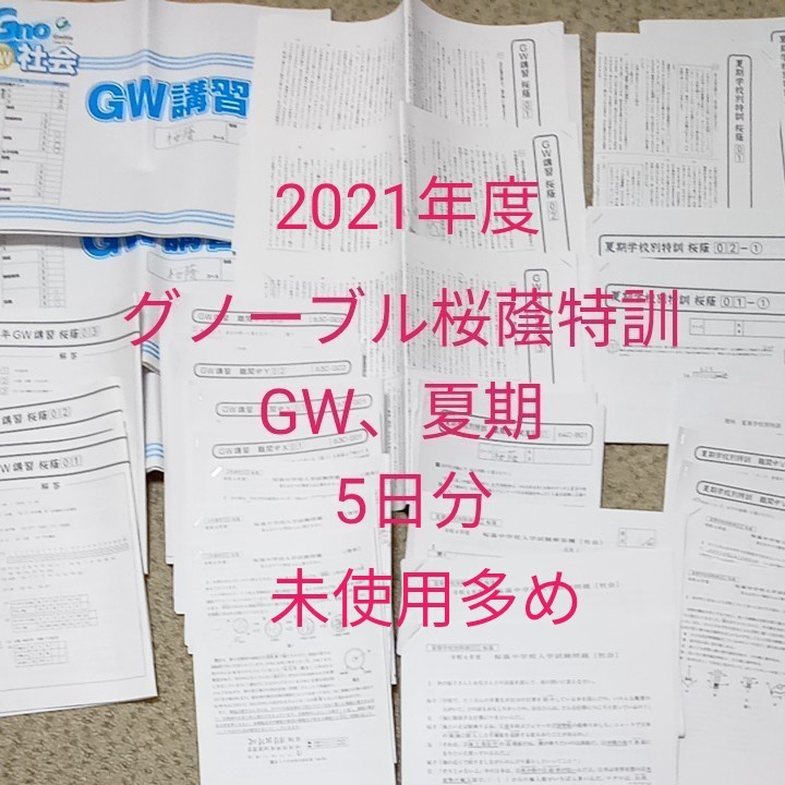 桜蔭特訓グノーブル6年GW、夏期　5日分テキスト　2021年度 学習参考書 中学入試